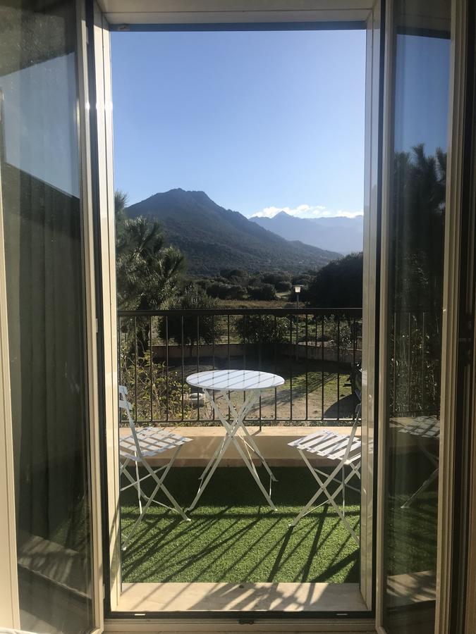 Terrazza Mare Belgodere (Corsica)
